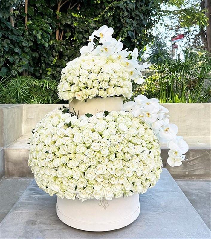 Cafuné 600 Beyaz Gül 2 Katlı Gül Aranjmanı Empire Deluxe