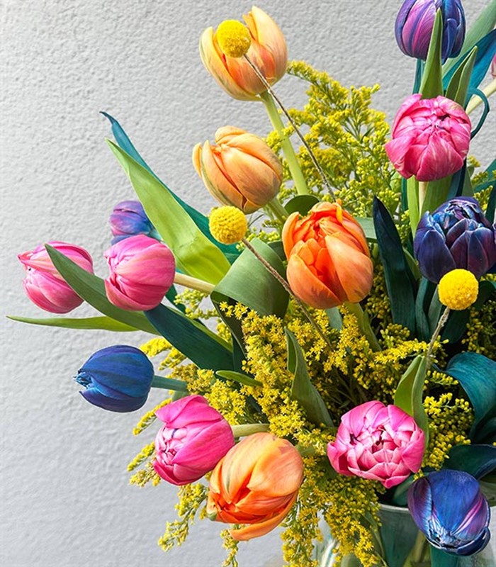 25 Rengarenk Laleler Vazo Turuncu Pembe Galaksi Lale