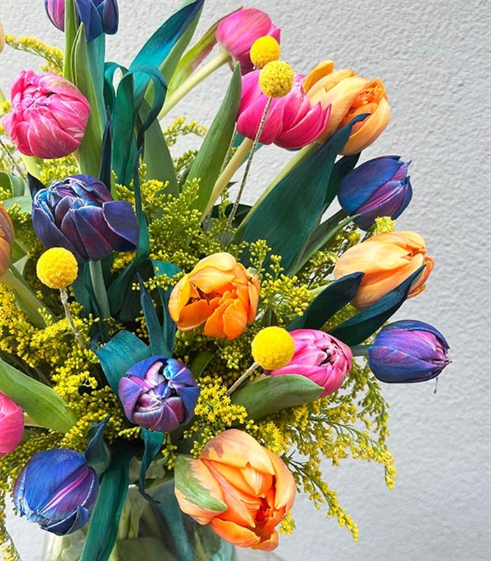 25 Rengarenk Laleler Vazo Turuncu Pembe Galaksi Lale