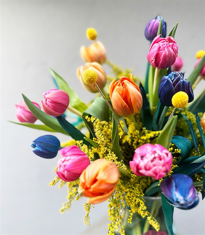 25 Rengarenk Laleler Vazo Turuncu Pembe Galaksi Lale