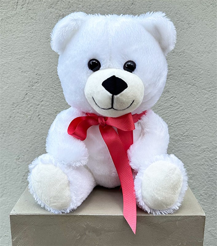 Beyaz Peluş Ayıcık