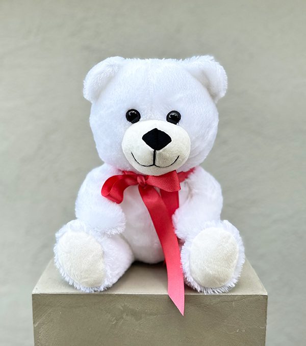 White Plush Teddy Bear