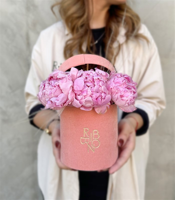 Clara Mini Pembe Kutuda Şakayık