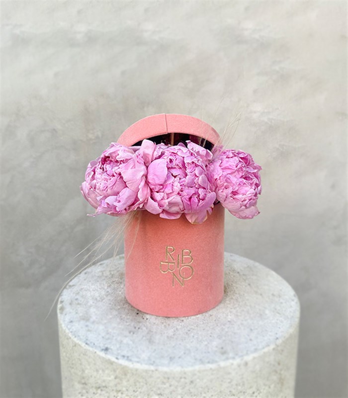 Clara Mini Pembe Kutuda Şakayık