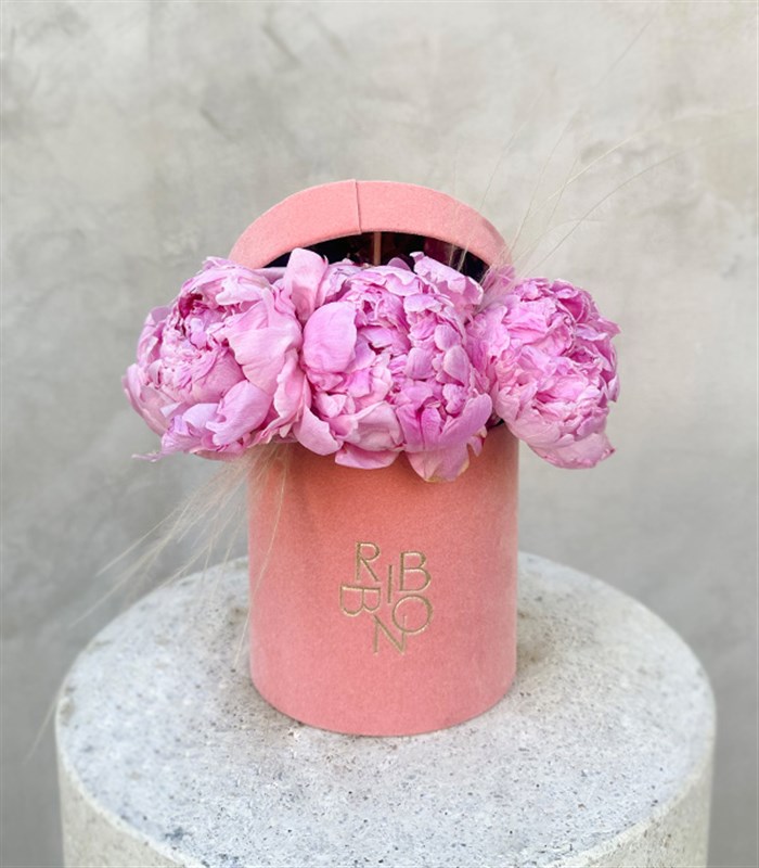 Clara Mini Pembe Kutuda Şakayık