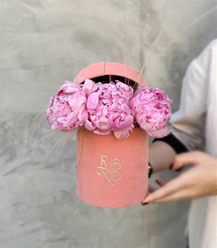 Clara Mini Pembe Kutuda Şakayık