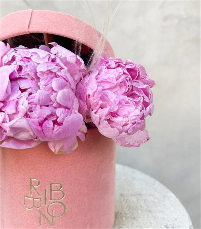 Clara Mini Pembe Kutuda Şakayık