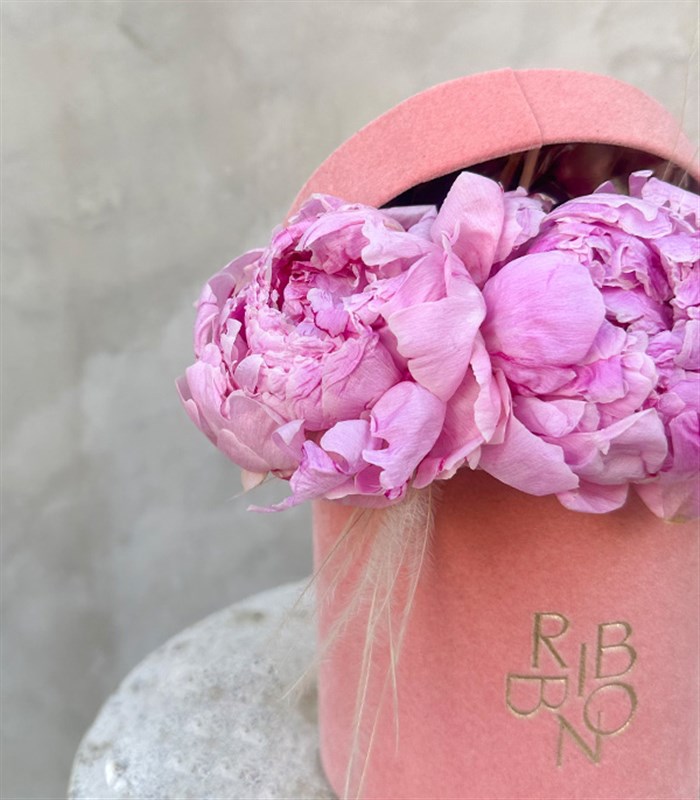 Clara Mini Pembe Kutuda Şakayık