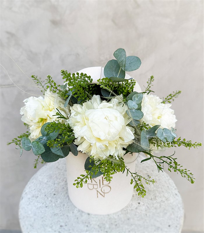 Senfoni Mini Krem Kutuda Beyaz Şakayık