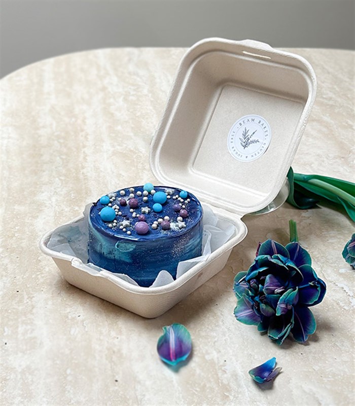 Beam Bakes Galaksi Mini Bento Yaş Pasta