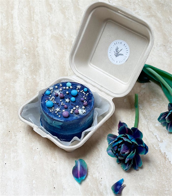 Beam Bakes Galaksi Mini Bento Yaş Pasta