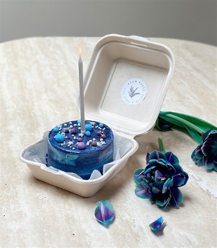 Beam Bakes Galaksi Mini Bento Yaş Pasta