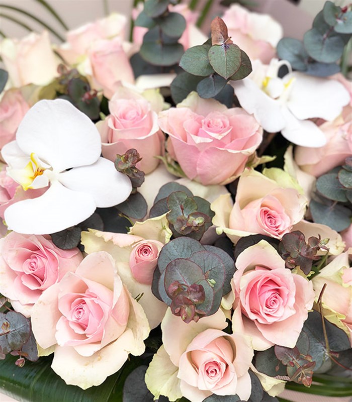 Claire Pembe Gül Buketi