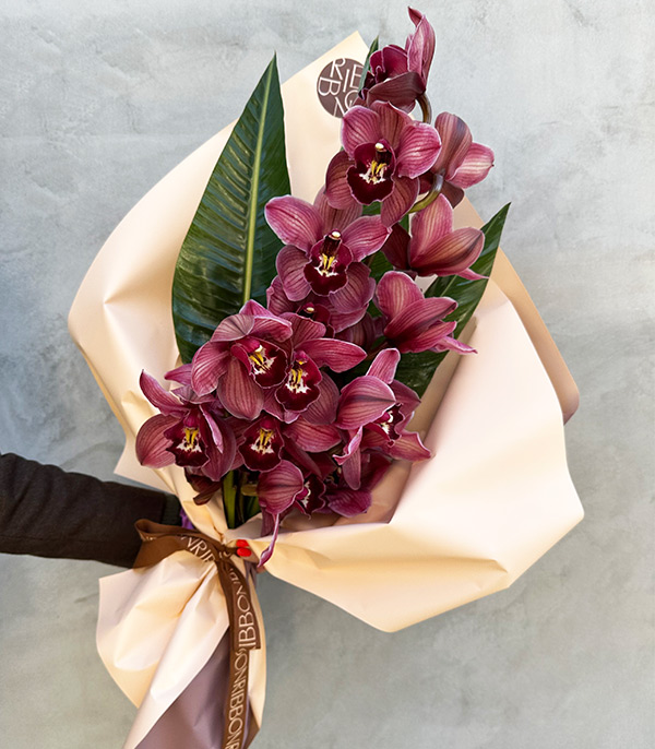 Brunella Bordo Cymbidium Orkide Buketi