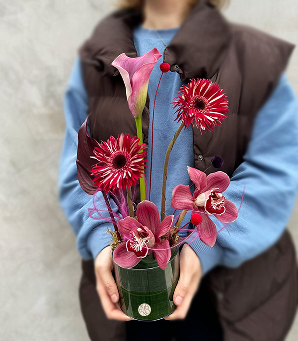 Vera Bordo Cymbidium Orkide Gala Mini Aranjman