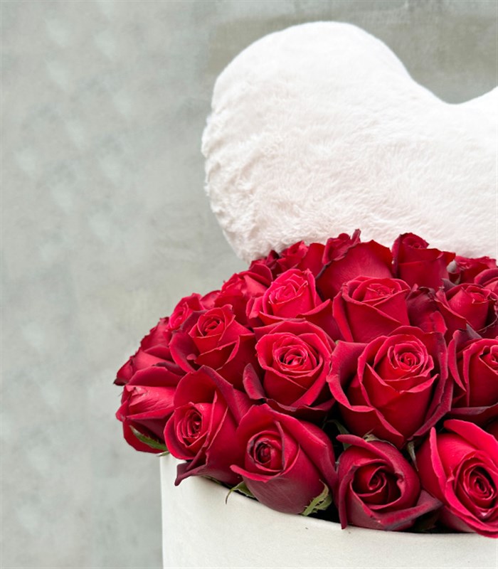 Heart Plush Padded 41 Red Roses in Box Grand Cream