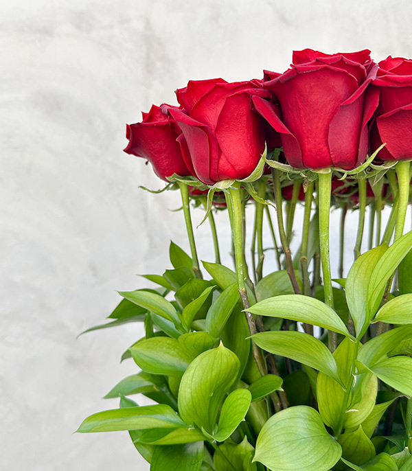 Naomi Grand Deluxe Panoramic Kırmızı Güller Sevgililer Günü Aranjmanı