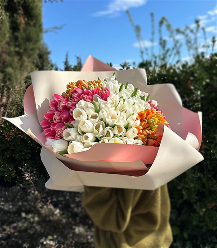 200 Colorful Tulip Garden Bouquet Royal Deluxe