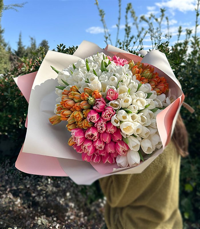 200 Colorful Tulip Garden Bouquet Royal Deluxe