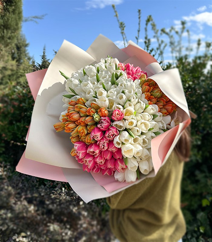 200 Colorful Tulip Garden Bouquet Royal Deluxe