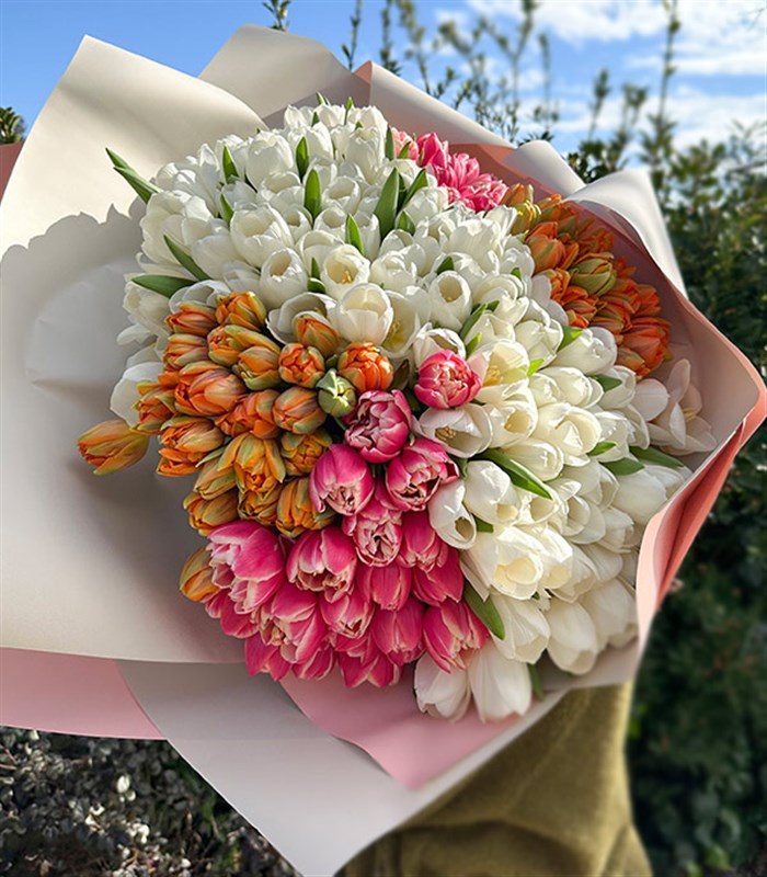 200 Colorful Tulip Garden Bouquet Royal Deluxe