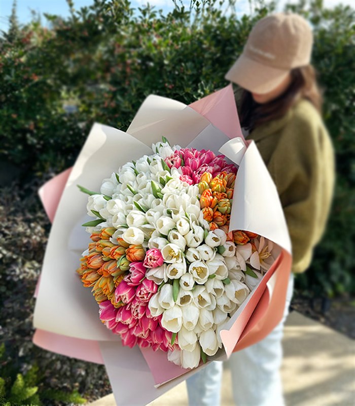 200 Colorful Tulip Garden Bouquet Royal Deluxe