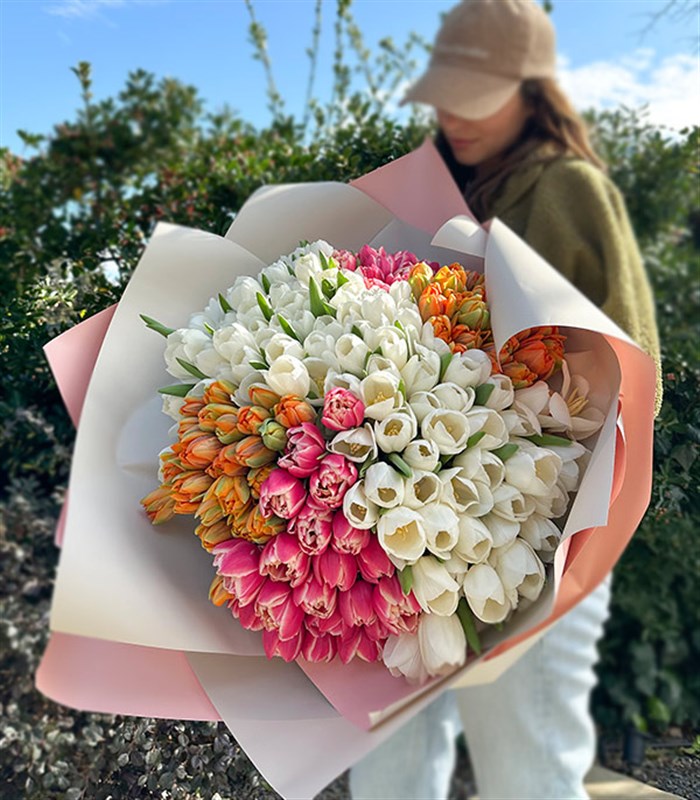 200 Colorful Tulip Garden Bouquet Royal Deluxe