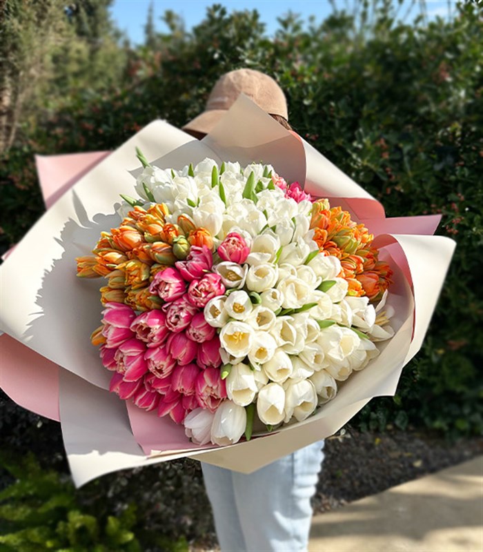 200 Colorful Tulip Garden Bouquet Royal Deluxe