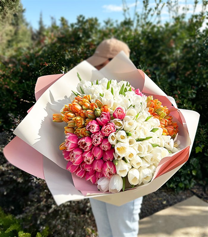 200 Colorful Tulip Garden Bouquet Royal Deluxe