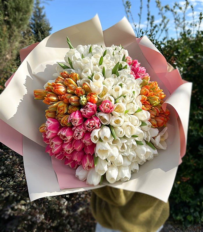 200 Colorful Tulip Garden Bouquet Royal Deluxe