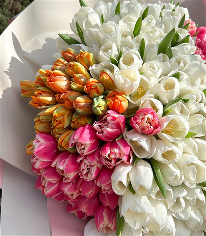 200 Colorful Tulip Garden Bouquet Royal Deluxe