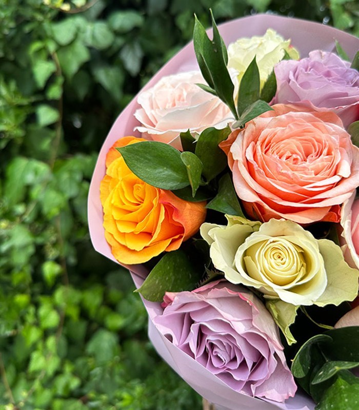 Rose Lover Renkli Gül Buketi Lila Somon Pembe Turuncu
