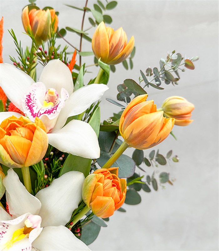 Archer Okaliptüs Turuncu Lale Vazo Aranjman