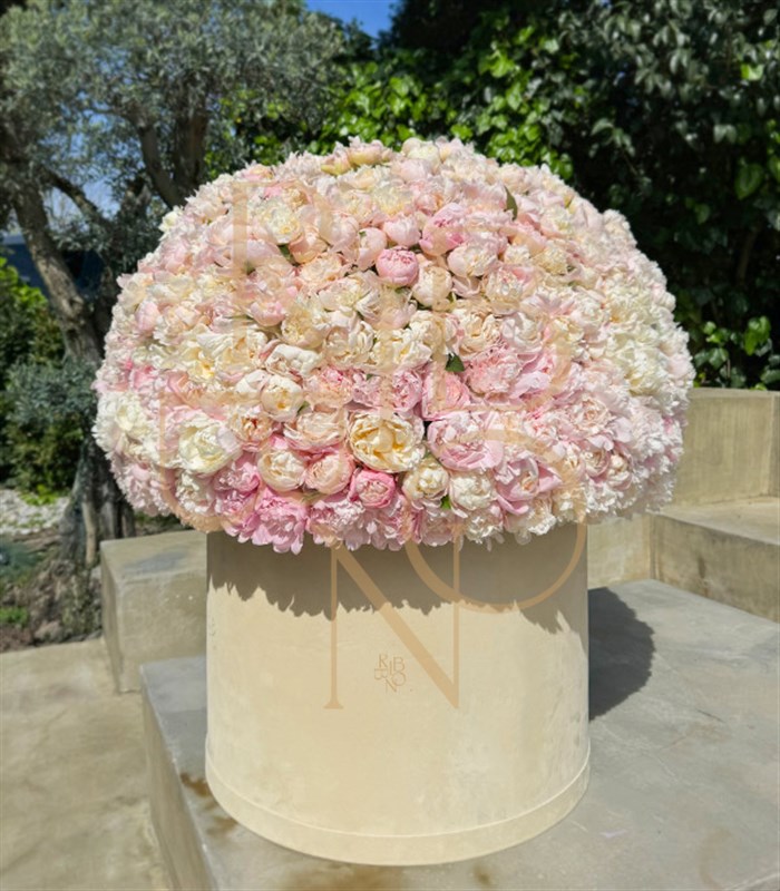 501 Şakayık Empire Deluxe Kutu Aranjman