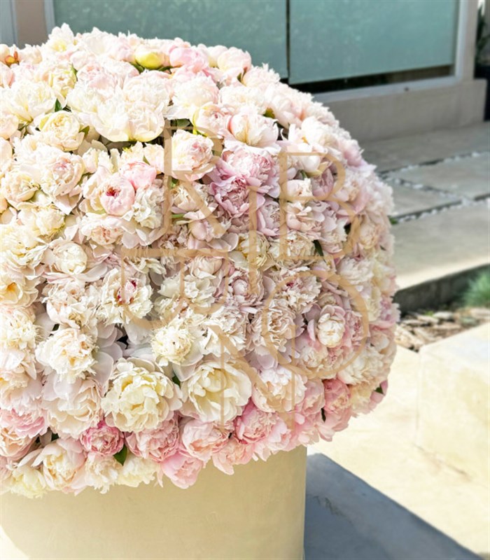 501 Şakayık Empire Deluxe Kutu Aranjman