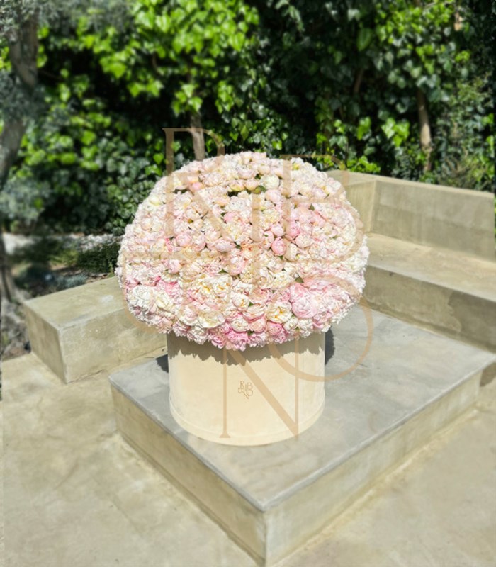 501 Şakayık Empire Deluxe Kutu Aranjman