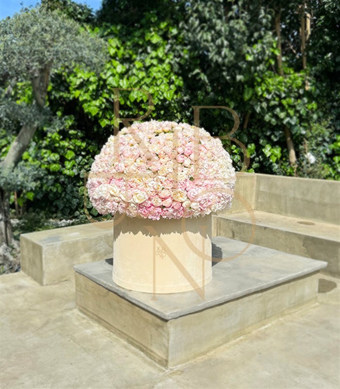 501 Şakayık Empire Deluxe Kutu Aranjman