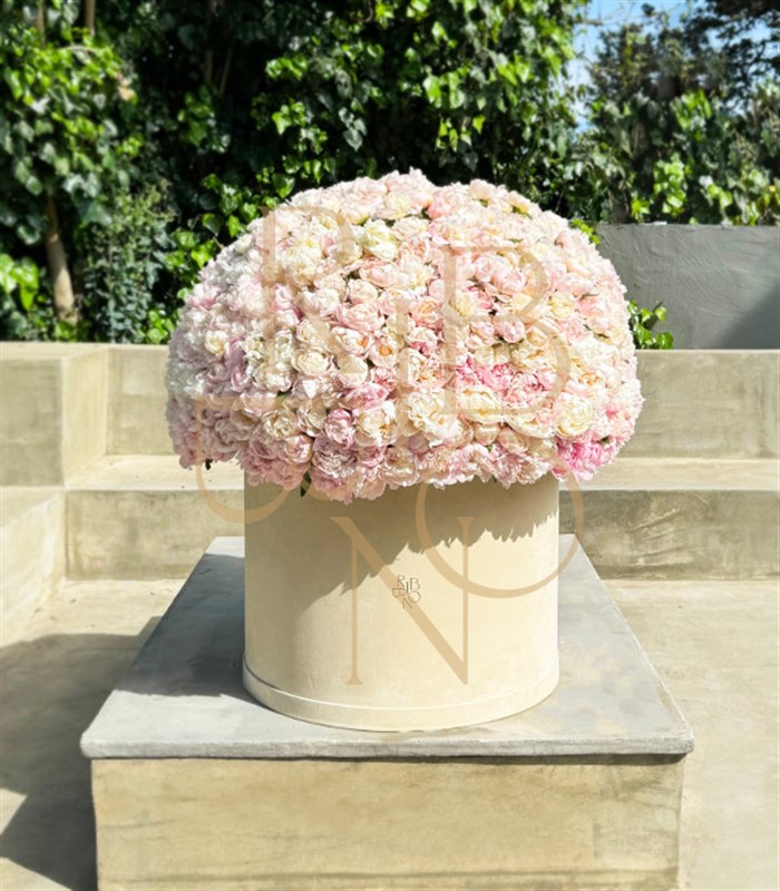 501 Şakayık Empire Deluxe Kutu Aranjman