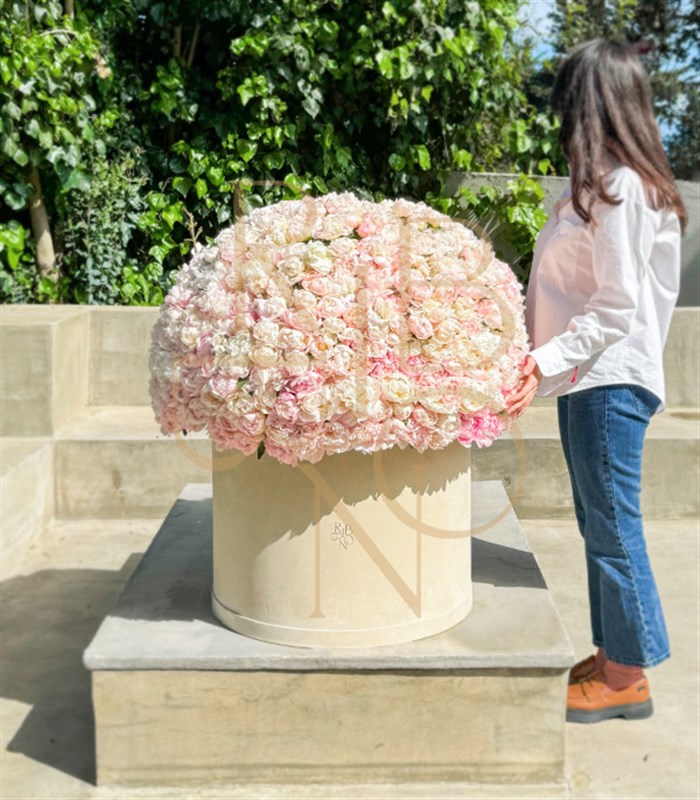 501 Şakayık Empire Deluxe Kutu Aranjman