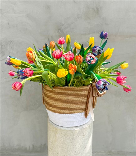 60 Tulips Bouquet in Basket