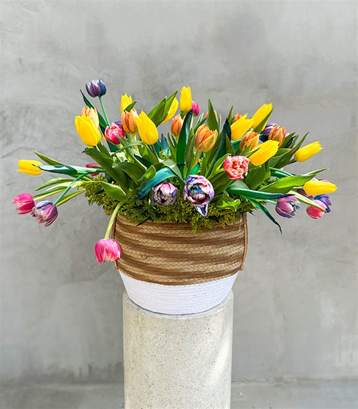 Sepette 60Lı Galaksi Lale Pembe Turuncu Sarı Laleler Aranjmanı