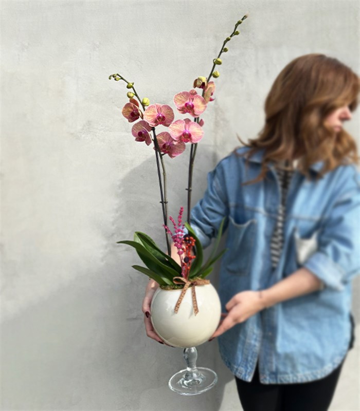 Deluxe Ayaklı Krem Vazoda Vazoda Orkide Narçiçeği 2 Dallı