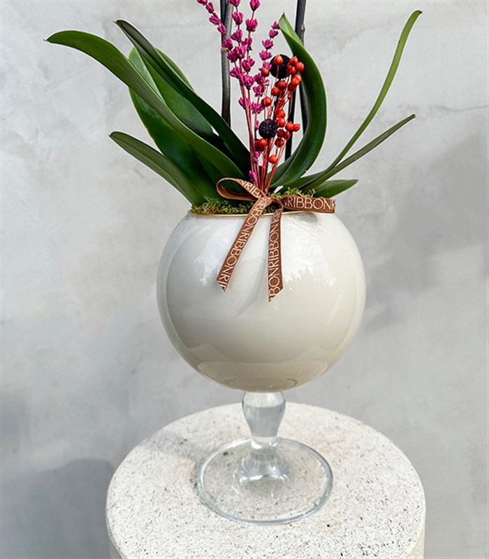 Deluxe Ayaklı Krem Vazoda Vazoda Orkide Narçiçeği 2 Dallı