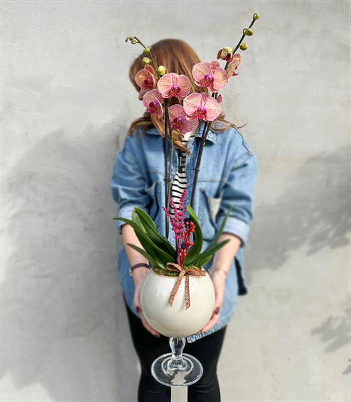 Deluxe Ayaklı Krem Vazoda Vazoda Orkide Narçiçeği 2 Dallı