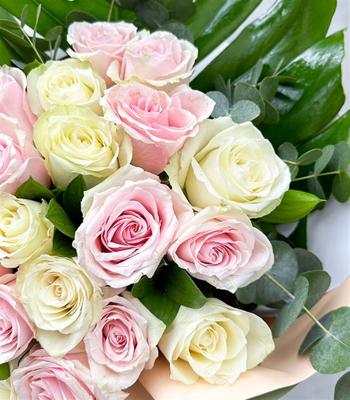 Deluxe 25 Pembe Gül Beyaz Güller Buketi