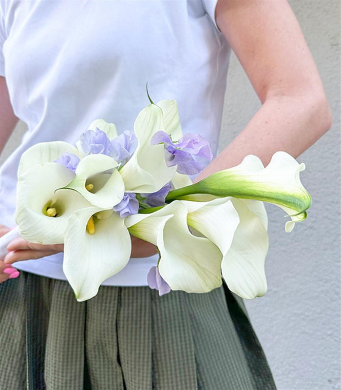 10 Beyaz Gala Lila Bahar Çiçekleri Gelin Buketi