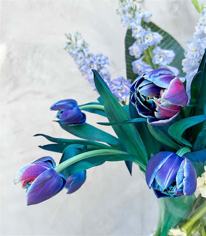 Bianca Galaksi Laleli Mavi Delfinyum Beyaz Yaz Aranjmanı