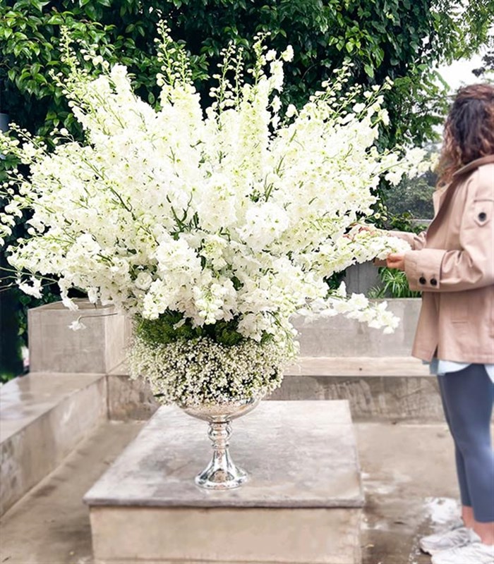 Panoramik 1000 Müge Çiçeği 100 Delfinyum Empire Deluxe Aranjman