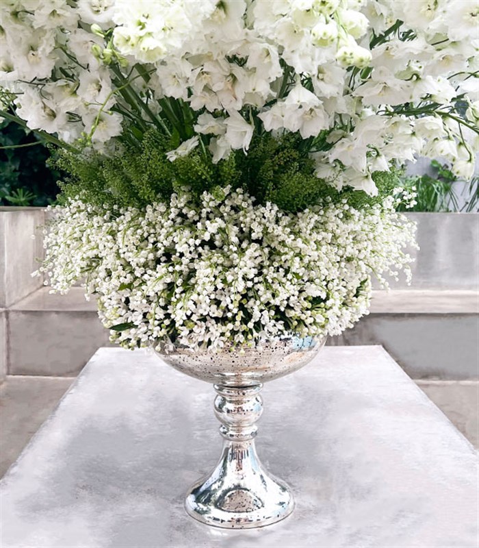 Panoramik 1000 Müge Çiçeği 100 Delfinyum Empire Deluxe Aranjman