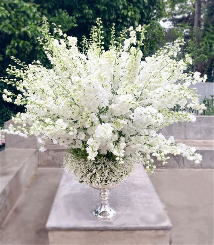 Panoramik 1000 Müge Çiçeği 100 Delfinyum Empire Deluxe Aranjman